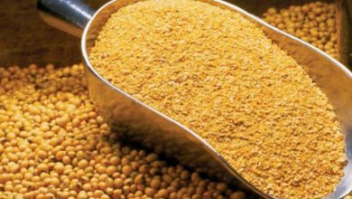 نبود مشکل در تامین و توزیع نهاده های دامی