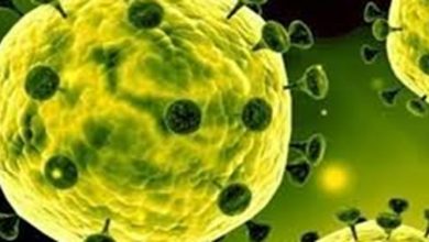 واردات هرگونه حیوان خوراکی و خانگی از کشورهای کرونایی ممنوع شد