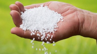 کاهش عرضه کود اوره در آستانه فصل داشت