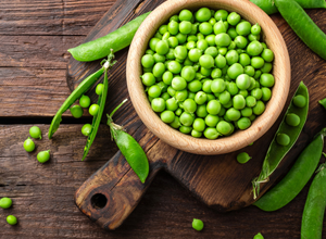 ۵ تن نخود بذری در مرودشت آماده توزیع است