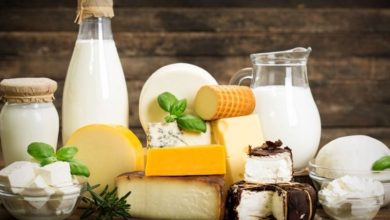 افزایش سیستم ایمنی بدن با مصرف لبنیات