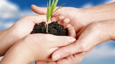 تدابیر بیمه کشاورزی برای کاهش تردد و مراجعات حضوری مردم