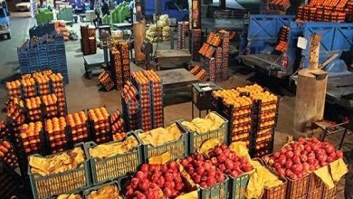 توزیع میوه عید با رعایت پروتکل‌های بهداشتی