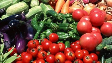 تولید سالانه 23 هزار تن انواع صیفی‌جات گلخانه‌ای در منطقه آزاد ارس