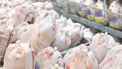 خرید تضمینی گوشت مرغ در چهارمحال و بختیاری