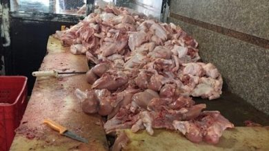 رفع ممنوعیت خرد و پاک کردن مرغ و ماهی