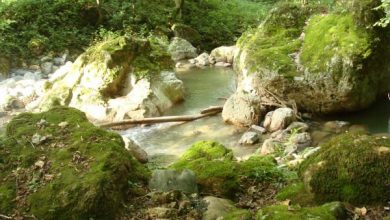 روستای فوشه، نگینی زیبا در قلعه رودخان فومن