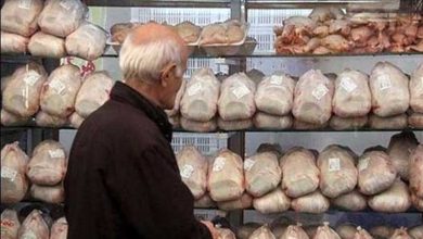 نرخ مرغ در تهران به زیر ۱۰ هزار تومان رسید