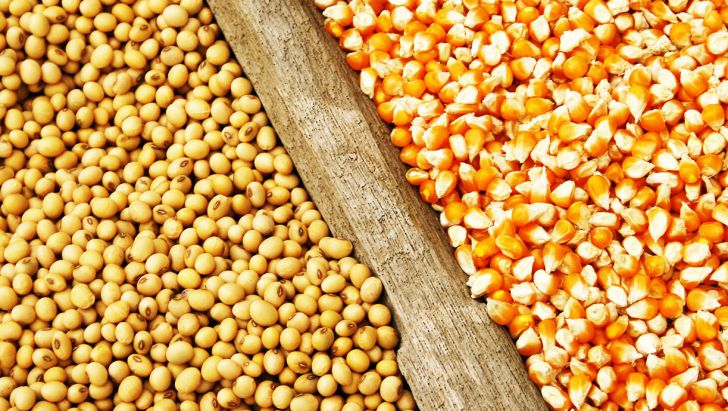 واردات نهاده‌های دامی به بیش از ۱۴ میلیون تن رسید
