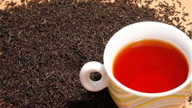 پیش بینی جهش ۱۵ درصدی تولید چای کشور در سال ۹۹