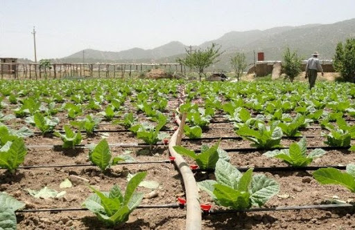 پیش‌بینی افزایش ۱۰ درصدی اجرای طرح‌های آب و خاک در سال ۹۹