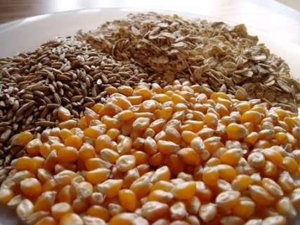 کاهش قیمت گندم و ذرت در بازارهای جهانی