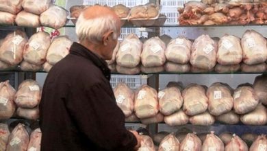 کرونا مصرف مرغ را افزایش داد