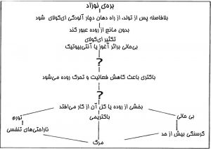 آسیب‌شناسی  بره در صورتی‌که در محیطی آلوده متولد شوند باکتری‌های کلی‌باسیل محیطی را اخذ می‌نمایند. در یک محیط آلوده گاهی لبه‌های فرج و واژن میش‌ها در اثر خوابیدن روی بستر آلوده به کلی‌باسیل‌ها آلوده می‌شود و هنگام عبور جنین از معبر زایمانی آلودگی صورت می‌پذیرد.  به‌هنگام تولد روده از حرکات کمتری برخوردار است بطوری‌که باکتری‌ها سریعاً تکثیر نموده و کلونیزه می‌گردند. نرسیدن آغوز به مقدار کافی در وقوع بیماری کمک می‌نماید. بیماری بیشتر در دوقولوها و در سن 12 تا 36 ساعت بعد از تولد دیده می‌شود.  علائم دهان آبکی در بره  مبتلایان دارای علائمی چون عدم تمایل به خوردن شیر، کسالت و بی‌حالی می‌باشد. در ظرف 2 تا 6 ساعت سیلان بزاق شروع شده و علی‌رغم شیر نخوردن محوطه بطنی متسع می‌باشد که بواسطه ترشحات بزاق و سایر مایعات می‌باشد.  بره‌ها دچار ضعف شدید ماهیچه‌ای بوده و اکثراً زمین‌گیر می‌گردند. بعضی از مبتلایان در انتهای بیماری دچار اسهال می‌شوند. اکثر مبتلایان دچار احتباس موکونیوم هستند که با تنقیه آب ولرم و صابون بهبود می‌یابند. اگر درمان صورت نگیرد بره مبتلا سریعاً وارد کوما می‌شود.  تشخیص تفریقی  بیماری دهان آبکی با بیماری‌های زیر اشتباه می‌شود:  • گرسنگی / هیپوترمی / هیپوگلیسمی  • سپتی‌سمی  • آسیب داخل صفاقی  • آسیب پس از زایمان، مانند آسیب قفسه سینه  • توکسوپلاسموز  • بیماری مرزی  در کلبدگشایی شیردان پر از مایعات موسینی و گاز می‌باشد. کمی قبل از مرگ باکتری را می‌توان در قلب، خون، کبد و سایر بافت‌ها کاوش نمود.  یک فرضیه درمورد بیماری دهان آبکی