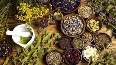 38 تن انواع گیاهان دارویی در شهرستان آبیک تولید می شود