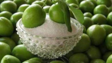 آغاز برداشت نوبرانه گوجه سبز در شهرستان سرپلذهاب