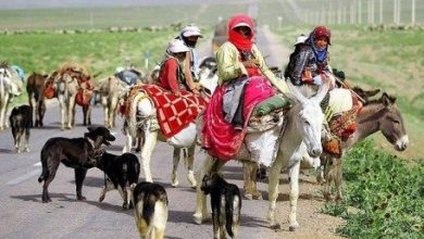 ایمن سازی کوچ برای جلوگیری از ابتلای عشایر به کرونا