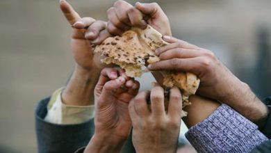 بحران جهانی غذا بدلیل بیکار شدن کشاورزان قریب‌الوقوع است