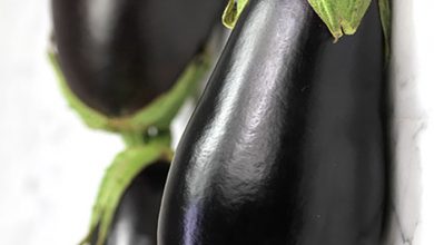 تولید بادمجان سبز و طلایی در شهرستان شاهین شهر و میمه