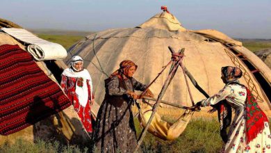 جهش تولید در مناطق عشایری