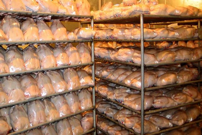 ذخیره‌سازی روزانه بیش از ۲۰ تن مرغ در خراسان شمالی
