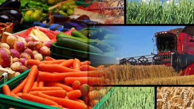 راهکار افزایش تولید در بخش کشاورزی