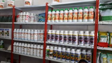 فعالیت ۷۴ واحد صنعتی عرضه سموم کشاورزی در زنجان