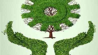 لزوم بهره‌گیری از بخش خصوصی برای آموزش و ترویج کشاورزان