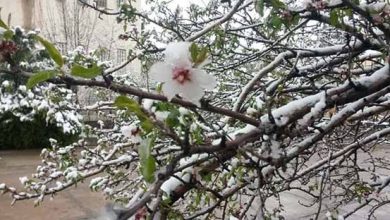 موج دوّم برف و کاهش دمای بهاره از یکشنبه شب (24 فروردین) در استان آذربایجان شرقی