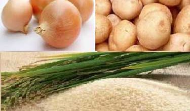 کاهش ۲۱ درصدی قیمت پیاز و رشد ۳۷ درصدی برنج ایرانی در سال گذشته