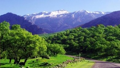 کرونا ۱۵میلیارد تومان به صنعت گردشگری کهگیلویه و بویراحمد خسارت زد