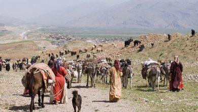 کوچ عشایر از اواخر فروردین ماه آغاز می‌شود