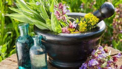 گیاهان دارویی ظرفیتی عظیم برای تحقق جهش تولید