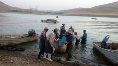۶۴۴۵ تُن ماهی از منابع آبی آذربایجان‌غربی صید شد