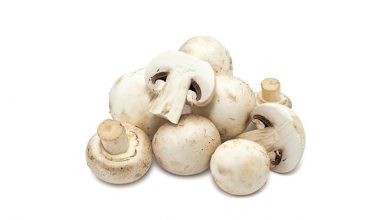 ارزآوری 8.6 میلیون دلاری صادرات قارچ ایران