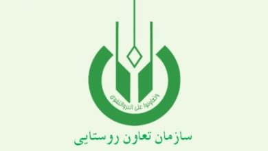 تعاونی‌های روستایی اهرمی مناسب برای توسعه اقتصاد هستند