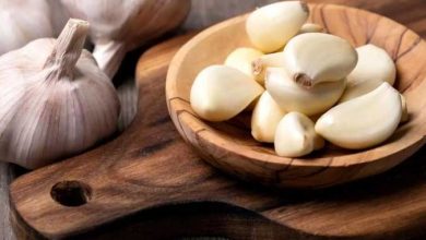 تولید 5600 تنی سیر در قائم شهر