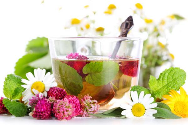 راه‌اندازی سامانه جامع بازار گیاهان دارویی ایران