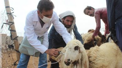 ردیابی بیماری قانقاریایِ دامی در شهرستان شهر بابک