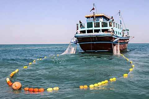 صید غیرمجاز ترال در آب‌های جنوب باید متوقف شود