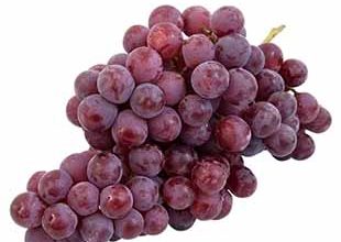 نوبرانه انگور یاقوتی مُهر در میادین میوه کشور