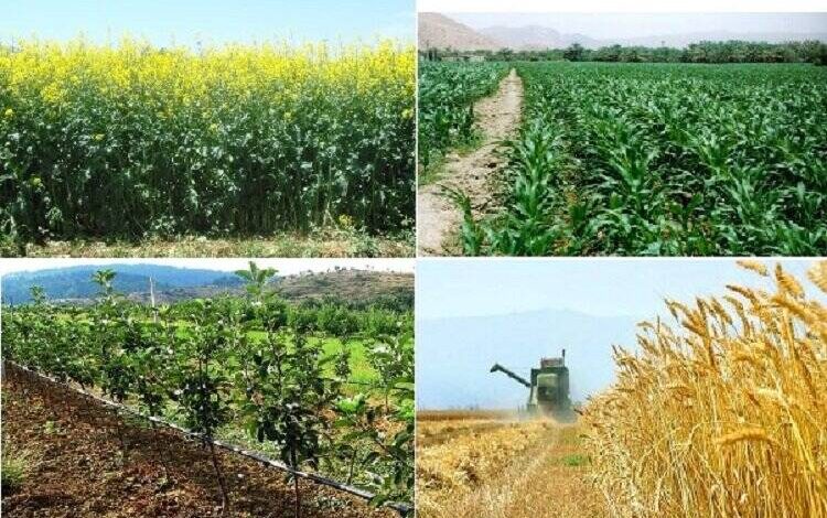 چالش مهم کشاورزی، پایین بودن دانش روز در این حوزه است