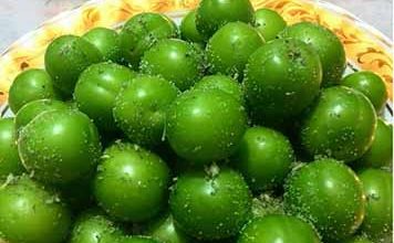 13 هکتار از اراضی شهرستان سرخه زیر کشت گوجه ‌سبز است