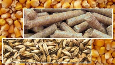 افزایش۲۶ درصدی واردات نهاده های دامی