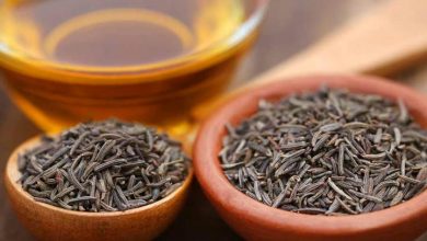 بردسکن تنها تولید کننده پیاز زیره‎کوهی در خراسان رضوی است