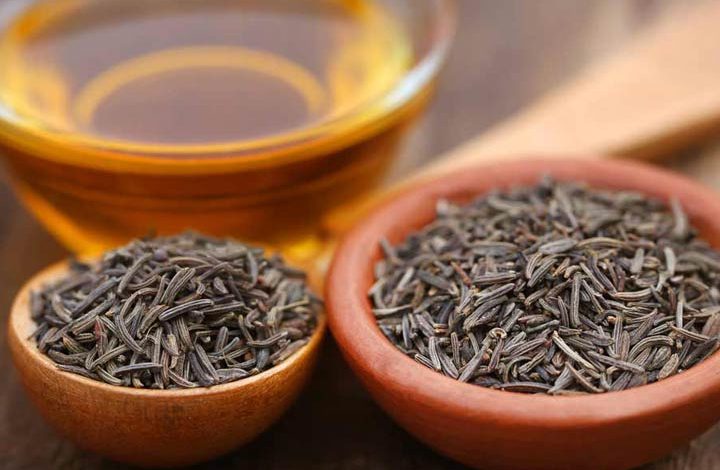 بردسکن تنها تولید کننده پیاز زیره‎کوهی در خراسان رضوی است