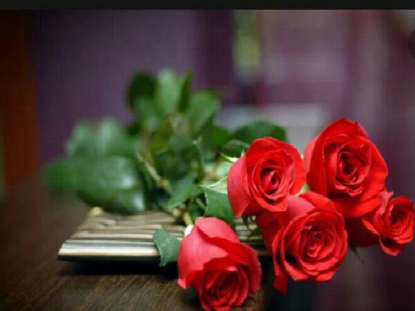 تولید گل شاخه بریده رز با مجهزترین سیستم‌های به روز گلخانه‌ای