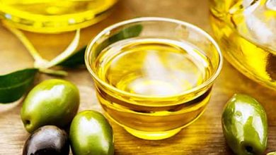 تولید ۱۱ هزار و ۶۰۰ تن روغن زیتون در کشور