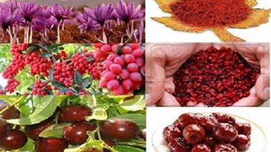 تولیدات کشاورزی خراسان جنوبی امسال چقدر خواهد شد؟