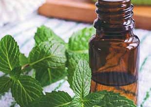 روغن پونۀ کوهی به حفظ یکدستی گلۀ پولت ها کمک می کند